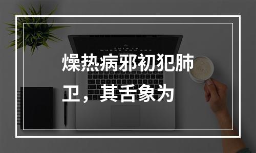 燥热病邪初犯肺卫，其舌象为