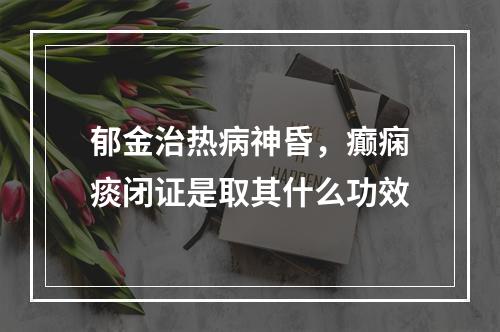 郁金治热病神昏，癫痫痰闭证是取其什么功效