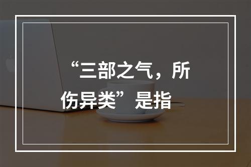 “三部之气，所伤异类”是指