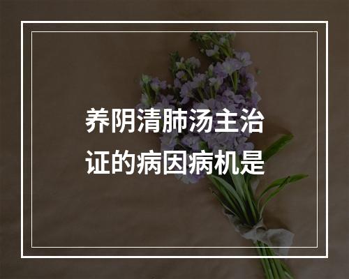 养阴清肺汤主治证的病因病机是