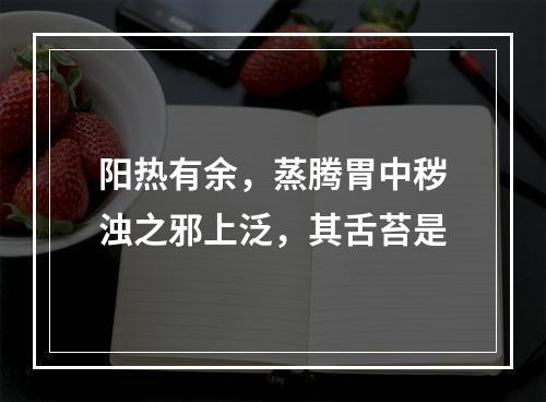 阳热有余，蒸腾胃中秽浊之邪上泛，其舌苔是