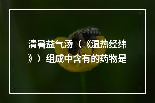 清暑益气汤（《温热经纬》）组成中含有的药物是