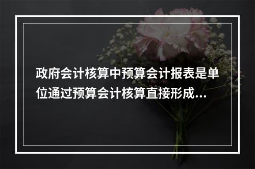 政府会计核算中预算会计报表是单位通过预算会计核算直接形成的报