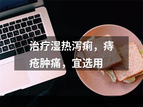 治疗湿热泻痢，痔疮肿痛，宜选用