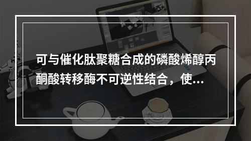 可与催化肽聚糖合成的磷酸烯醇丙酮酸转移酶不可逆性结合，使该酶