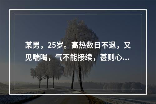 某男，25岁。高热数日不退，又见喘喝，气不能接续，甚则心悸气