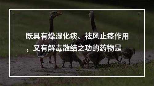 既具有燥湿化痰、祛风止痉作用，又有解毒散结之功的药物是