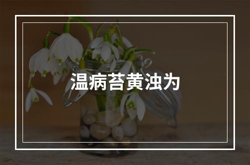 温病苔黄浊为