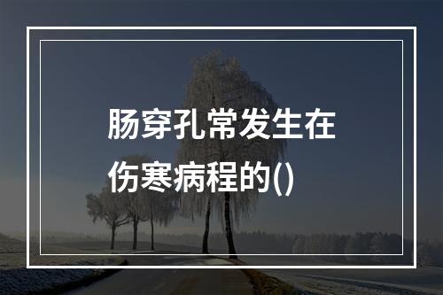 肠穿孔常发生在伤寒病程的()