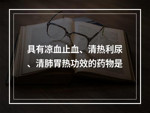 具有凉血止血、清热利尿、清肺胃热功效的药物是