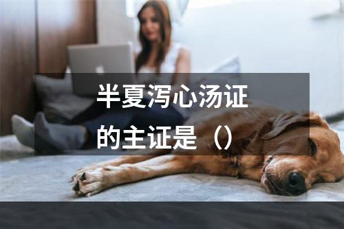 半夏泻心汤证的主证是（）