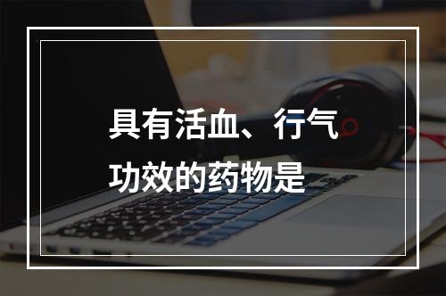 具有活血、行气功效的药物是