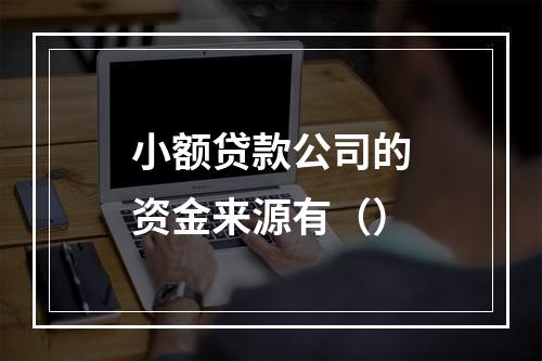 小额贷款公司的资金来源有（）