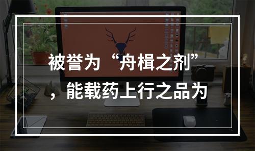 被誉为“舟楫之剂”，能载药上行之品为