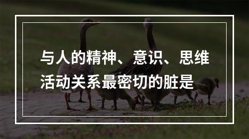 与人的精神、意识、思维活动关系最密切的脏是