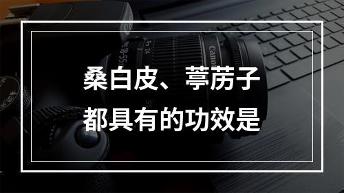 桑白皮、葶苈子都具有的功效是