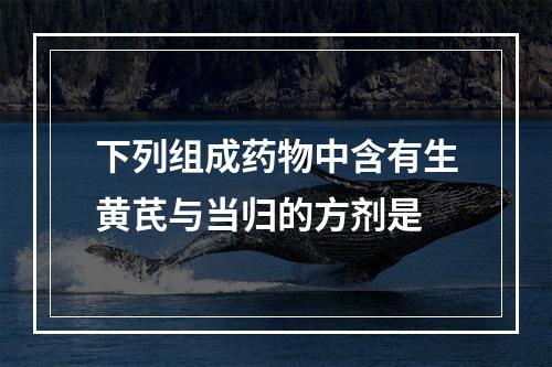 下列组成药物中含有生黄芪与当归的方剂是