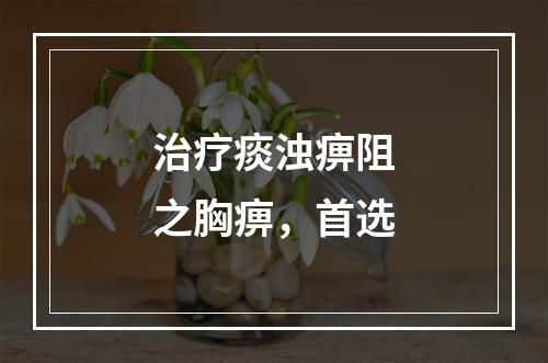 治疗痰浊痹阻之胸痹，首选