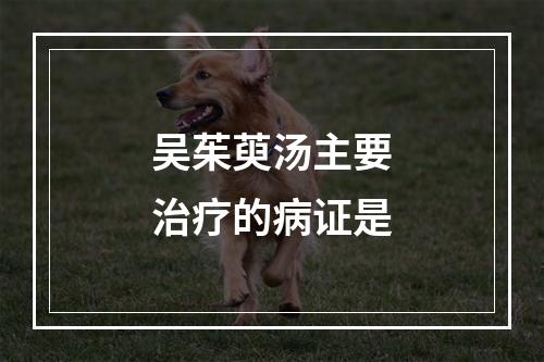 吴茱萸汤主要治疗的病证是