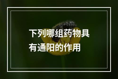 下列哪组药物具有通阳的作用