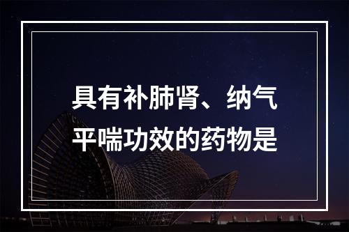 具有补肺肾、纳气平喘功效的药物是