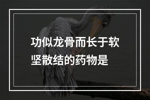 功似龙骨而长于软坚散结的药物是