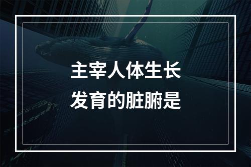 主宰人体生长发育的脏腑是