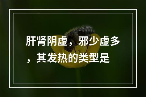 肝肾阴虚，邪少虚多，其发热的类型是