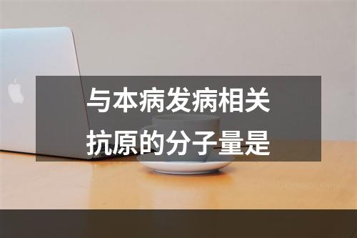 与本病发病相关抗原的分子量是