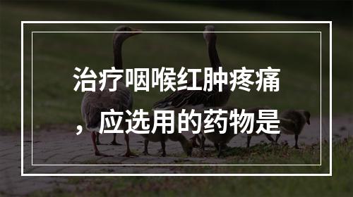 治疗咽喉红肿疼痛，应选用的药物是