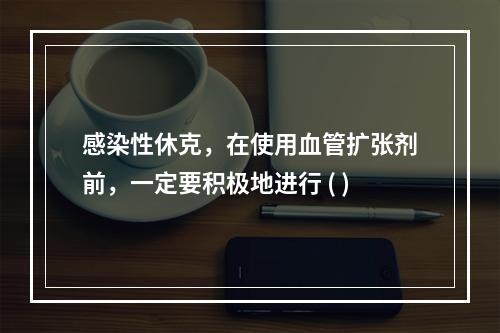 感染性休克，在使用血管扩张剂前，一定要积极地进行 ( )