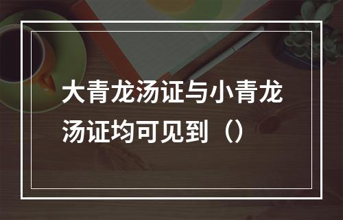 大青龙汤证与小青龙汤证均可见到（）