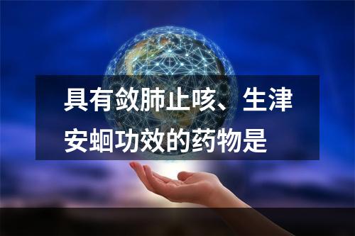 具有敛肺止咳、生津安蛔功效的药物是