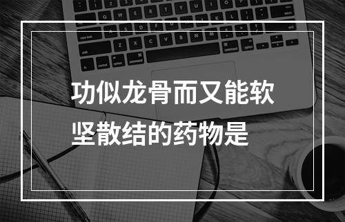 功似龙骨而又能软坚散结的药物是