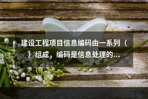 建设工程项目信息编码由一系列（　）组成，编码是信息处理的一项