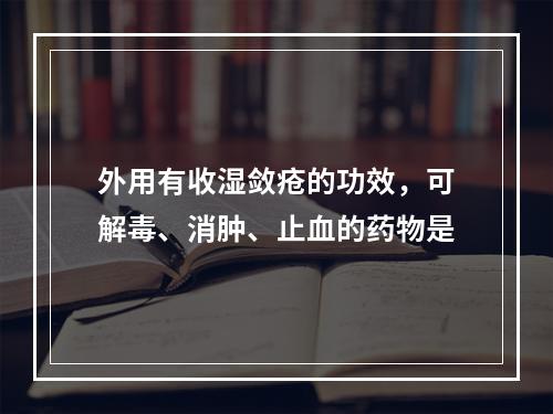 外用有收湿敛疮的功效，可解毒、消肿、止血的药物是