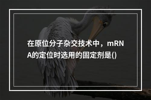 在原位分子杂交技术中，mRNA的定位时选用的固定剂是()