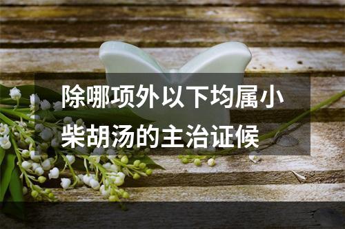 除哪项外以下均属小柴胡汤的主治证候