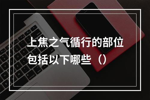 上焦之气循行的部位包括以下哪些（）