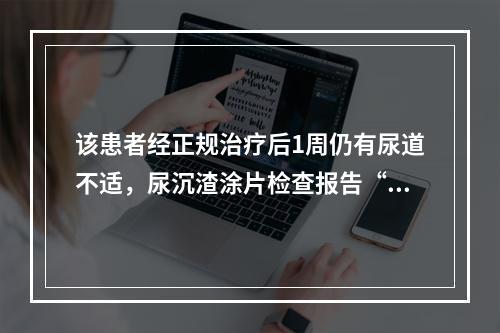 该患者经正规治疗后1周仍有尿道不适，尿沉渣涂片检查报告“每高