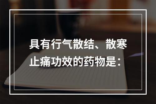 具有行气散结、散寒止痛功效的药物是：