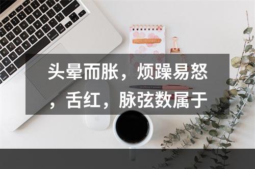 头晕而胀，烦躁易怒，舌红，脉弦数属于