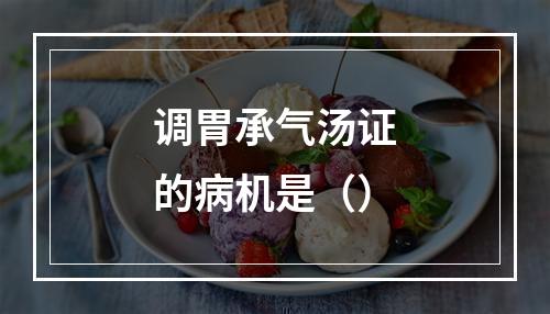 调胃承气汤证的病机是（）