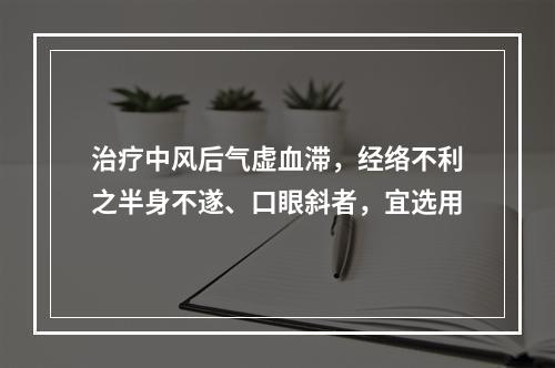 治疗中风后气虚血滞，经络不利之半身不遂、口眼斜者，宜选用