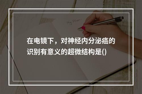 在电镜下，对神经内分泌癌的识别有意义的超微结构是()