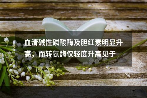 血清碱性磷酸酶及胆红素明显升高，而转氨酶仅轻度升高见于