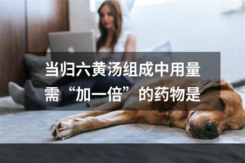 当归六黄汤组成中用量需“加一倍”的药物是