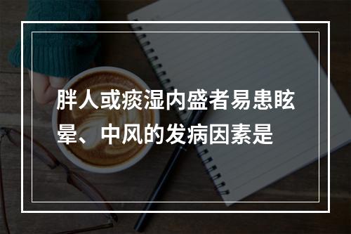 胖人或痰湿内盛者易患眩晕、中风的发病因素是