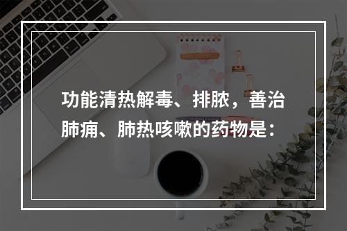 功能清热解毒、排脓，善治肺痈、肺热咳嗽的药物是：