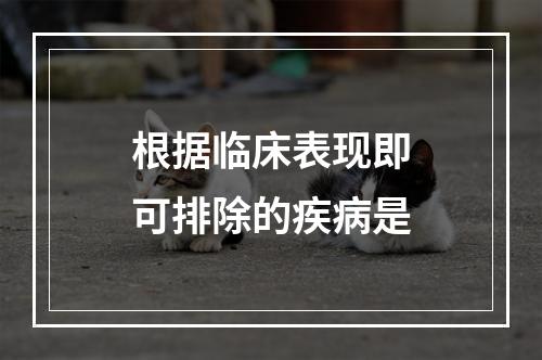 根据临床表现即可排除的疾病是